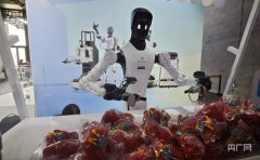 句话被拆解成一系列使命——小猫有没有爬高？